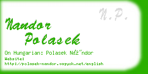 nandor polasek business card